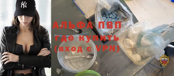 хмурый Арсеньев