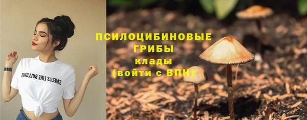 хмурый Арсеньев