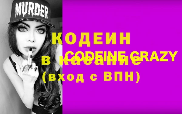 хмурый Арсеньев