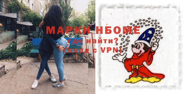 хмурый Арсеньев