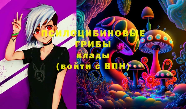хмурый Арсеньев