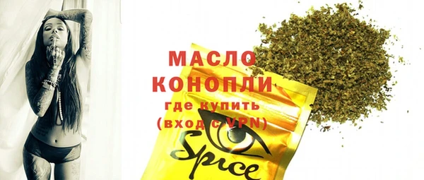 хмурый Арсеньев