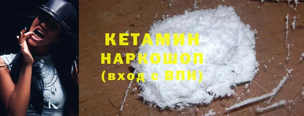 хмурый Арсеньев